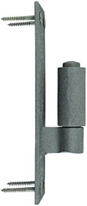 Sturdy Wrought Iron Hinges for Doors