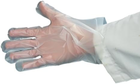 Compostable Gloves for Success