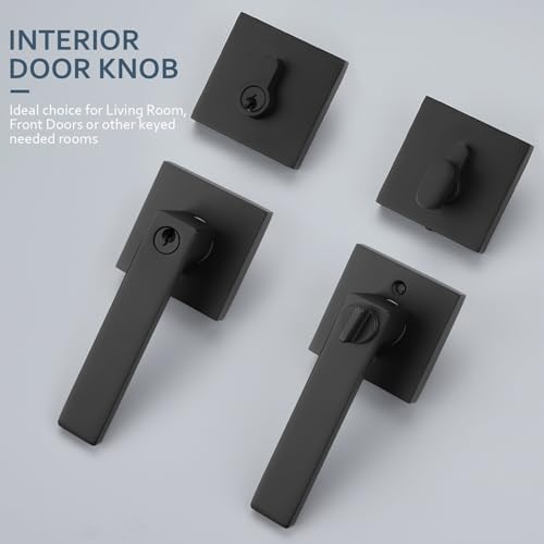 Double-Action Door Entry Lock Set for Home Commercial Use