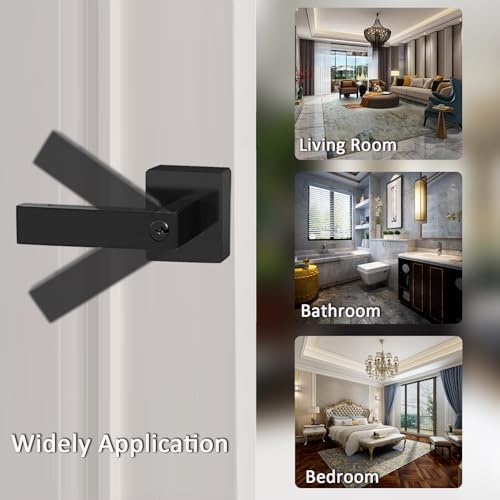 Matte Black Door Lever Keyed Alike Heavy Duty