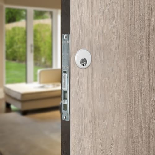 High Security Storefront Door Mortise Lock