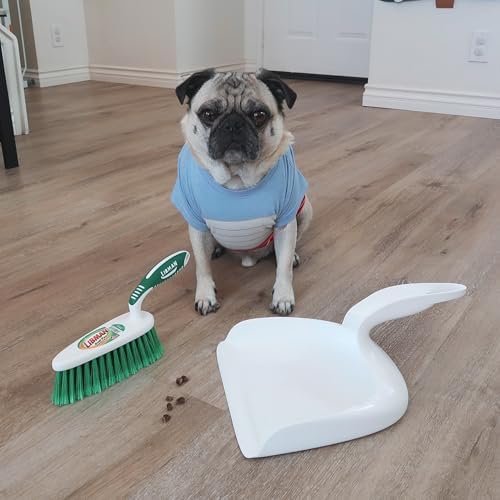 Efficient Dust Pan Set with Brush Green and White Design