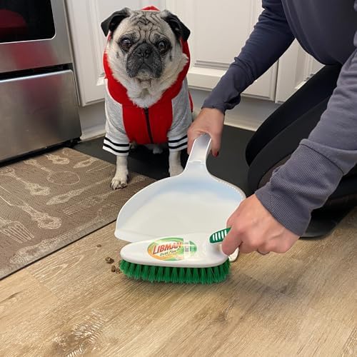 Efficient Dust Pan Set with Brush Green and White Design