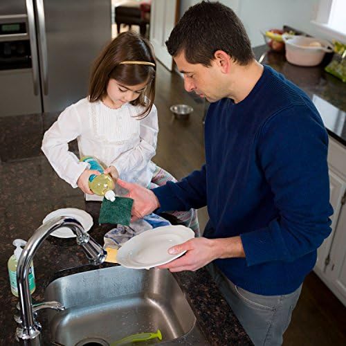 Better Life Lemon Mint - 22oz - Eco-Friendly Liquid Dish Soap wVitamin E Aloe for Home Kitchen Sink