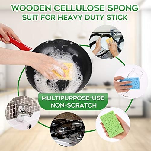 PANYEE Compressed Cellulose Sponges
