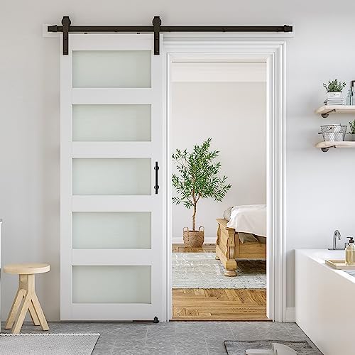 Modern Smart Gallery Glass Barn Door