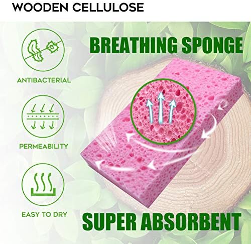 PANYEE Compressed Cellulose Sponges