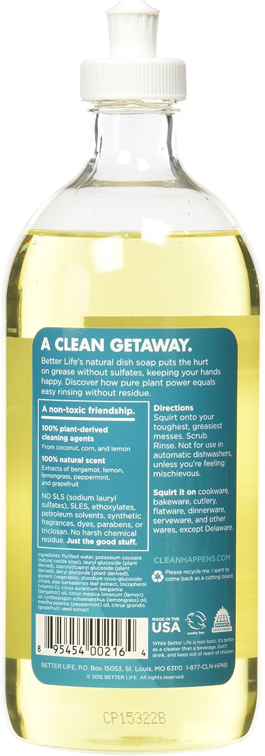 Better Life Lemon Mint - 22oz - Eco-Friendly Liquid Dish Soap wVitamin E Aloe for Home Kitchen Sink